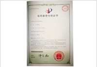 專(zhuān)利：復(fù)試軸承結(jié)構(gòu)